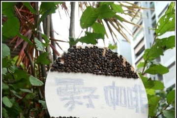台南【栗子咖啡】。有氣氛的早午餐小店