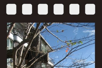 民宿一隅