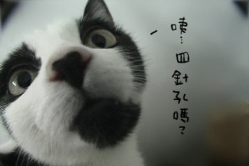 針孔搞ㄅ嫩