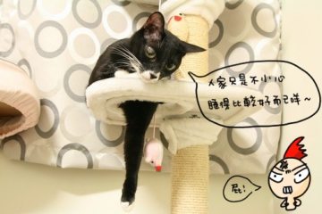 黑白黑白睡。爽到你+乾苦到我