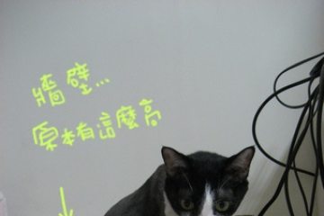 黑白黑白啃。讓高牆消失吧!