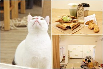 台南【貓吐司堡】。貓咪貓咪快來陪我吃早午餐！