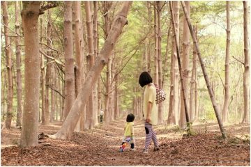 台南仁德【虎山國小森林步道】。市郊秘境,與奇美博物館、十鼓文化村、虎山糖廠一起列入半日遊行程吧!(西瓜山森林步道)