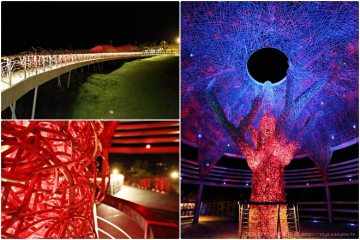 台東【國際地標】。海濱公園的生命之樹,值得夜遊的美麗景點