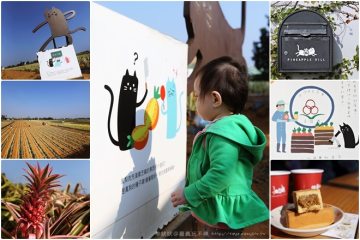 嘉義民雄【旺萊山】。鳳梨文化園區,適合親子旅遊的好處去!